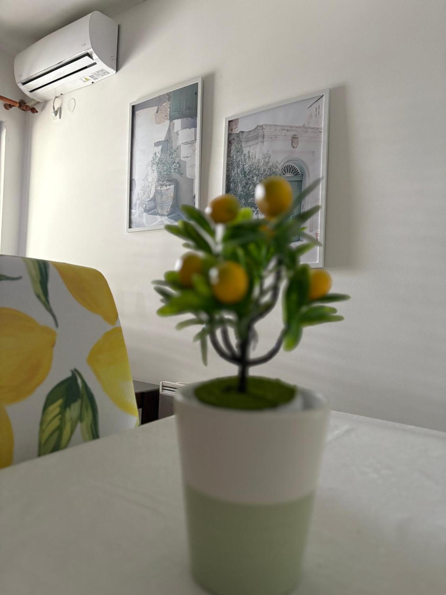 Apartments ヘルツェグ・ノヴィ 部屋 写真
